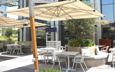Terrafirma – Cantilever, Timber Umbrella